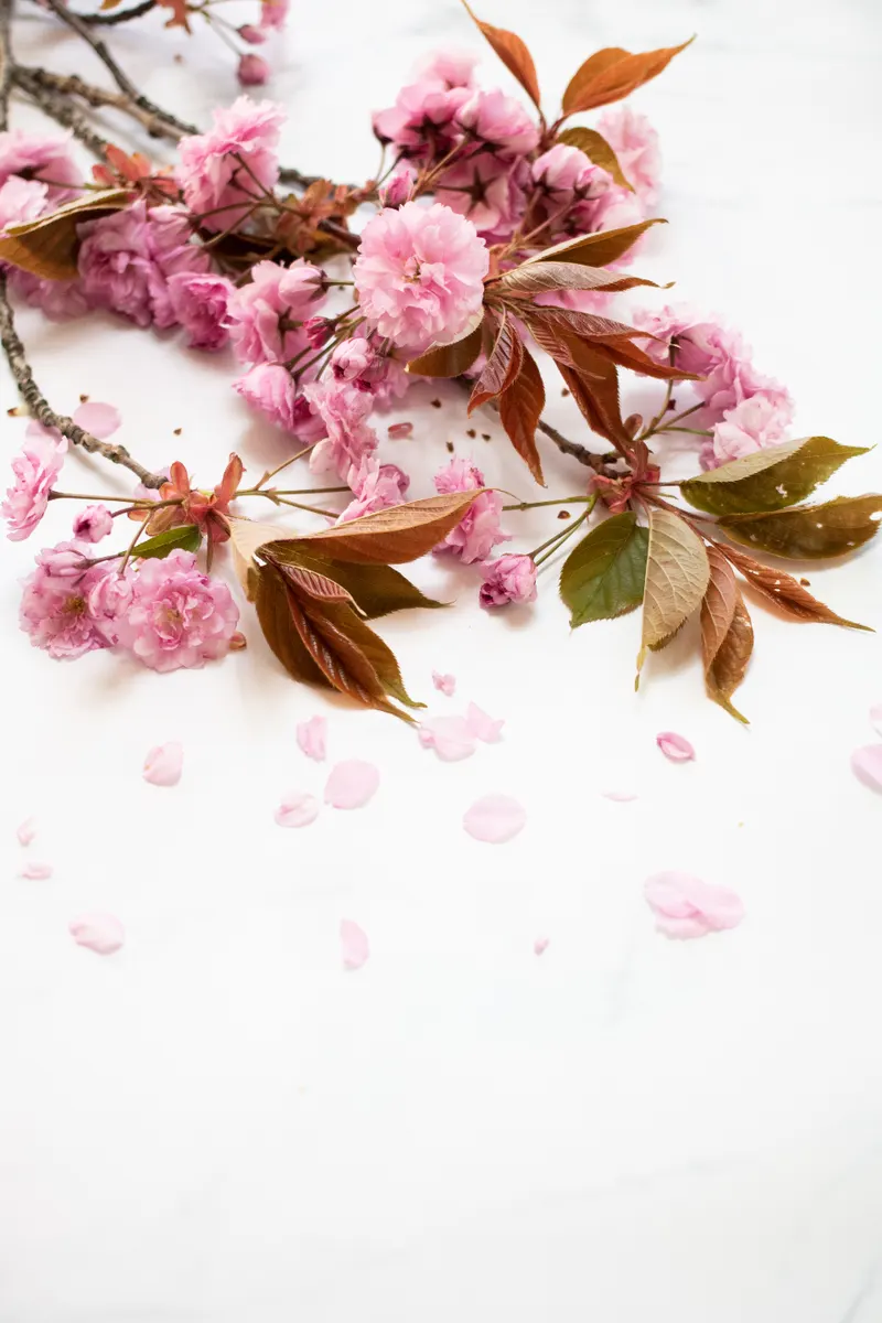 Chính thức yêu nhau