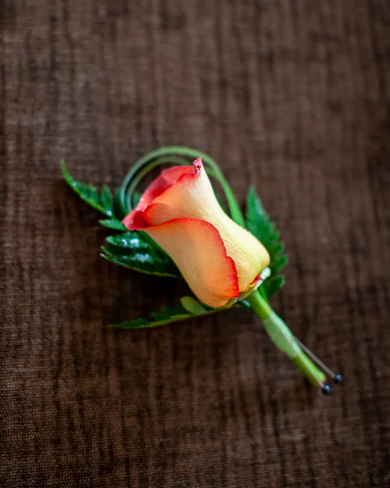 Lời cầu hôn
