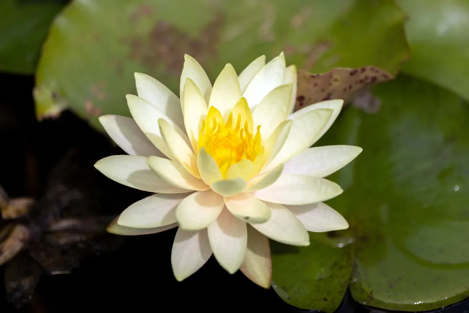 Ảnh cưới 3