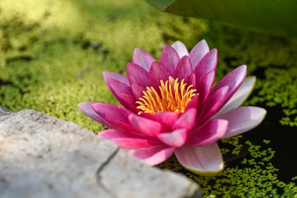 Ảnh cưới 3